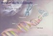 Síntese de proteínas Código Genético Formado por trincas de bases nitrogenadas (códon) É universal Possui 64 trincas possíveis (61 correspondem a aminoácidos)