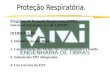 Programa de Proteção Respiratória (PPR). Instrução Normativa n 1 de 11/04/99. INTRODUÇÃO. 1. Identificação dos Riscos. 2. Compreensão dos Efeitos dos Contaminantes