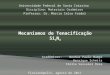 Universidade Federal de Santa Catarina Disciplina: Materiais Cerâmicos Professor: Dr. Márcio Celso Fredel Acadêmicos: Benhur Paulo Bampi Henrique Schmitz