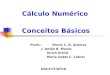 Cálculo Numérico Profs.: Bruno C. N. Queiroz J. Antão B. Moura Ulrich Schiel Maria Izabel C. Cabral Conceitos Básicos DSC/CCT/UFCG