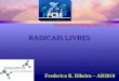 RADICAIS LIVRES Monitoria de Bioquímica 2005/2 Frederico B. Ribeiro – AD2010