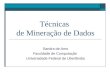 Técnicas de Mineração de Dados Sandra de Amo Faculdade de Computação Universidade Federal de Uberlândia