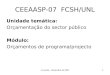 J.Lucena, Novembro de 20071 CEEAASP-07 FCSH/UNL Unidade temática: Orçamentação do sector público Módulo: Orçamentos de programa/projecto