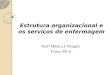 Estrutura organizacional e os serviços de enfermagem Profª Mônica I. Wingert Turma 301 E