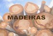 Características gerais da Madeira A madeira é um tecido complexo devido a sua formação por diferentes tipos de células, as quais desempenham diferentes
