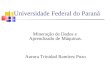 Universidade Federal do Paraná Mineração de Dados e Aprendizado de Máquinas. Aurora Trinidad Ramírez Pozo