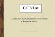 Comissão de Cooperação Nacional e Internacional CCNInt