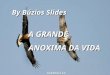 By Búzios Slides A GRANDE ANOXIMA DA VIDA Automático