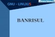 GNU - LINUX/S390 BANRISUL. Introdução Utilização de Software Livre no Banrisul. Grupo de trabalho