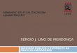 SÉRGIO J. LINO DE MENDONÇA SERVIDOR PÚBLICO E ESTÍMULOS ÀS PRATICAS INOVADORAS SEMINÁRIO DE ATUALIZAÇÃO EM ADMINISTRAÇÃO
