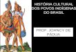 HISTÓRIA CULTURAL DOS POVOS INDÍGENAS DO BRASIL PROF. JOHNCY DE PÁDUA