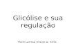 Glicólise e sua regulação Thais Larissa Araújo O. Silva