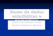 Bases de dados estatísticas e numéricas Daniel de Oliveira Costa Maria Cristina S. Barrios