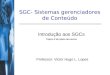SGC- Sistemas gerenciadores de Conteúdo Introdução aos SGCs Tópico 2 do plano de ensino Professor: Victor Hugo L. Lopes