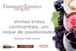 Vinhos tintos continentais, um leque de possibilidades Palestrante: Walter Tommasi