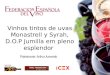 Palestrante: Arthur Azevedo Vinhos tintos de uvas Monastrell y Syrah, D.O.P Jumilla em pleno esplendor