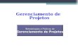 Gerenciamento de Projetos Metodologias e Práticas de Metodologias e Práticas de Gerenciamento de Projetos Gerenciamento de Projetos