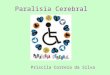 Paralisia Cerebral Priscila Correia da Silva. Paralisia Cerebral? O QUE SIGNIFICA