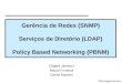 2006, Edgard Jamhour Gerncia de Redes (SNMP) Servi§os de Diret³rio (LDAP) Policy Based Networking (PBNM) Edgard Jamhour Mauro Fonseca Carlos Maziero
