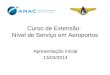 Curso de Extensão: Nível de Serviço em Aeroportos Apresentação Inicial 13/03/2014