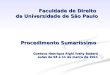 Faculdade de Direito da Universidade de São Paulo Procedimento Sumaríssimo Gustavo Henrique Righi Ivahy Badaró aulas de 04 e 11 de março de 2011 Faculdade