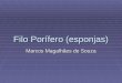 Filo Por­fero (esponjas) Marcos Magalh£es de Souza