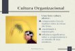 Profª Denise Ferreira1 Cultura Organizacional Uma forte cultura oferece : compreensão clara da maneira como as coisas são feitas. estabilidade à organização
