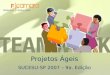 Projetos Ágeis SUCESU-SP 2007 – 9a. Edição. Apresentação As pessoas, seus valores e responsabilidades Os processos, técnicas e táticas A ferramenta, a