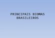 PRINCIPAIS BIOMAS BRASILEIROS. Biomas são grandes estruturas ecológicas com fisionomias distintas encontradas nos diferentes continentes, caracterizados