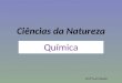 Ciências da Natureza Química Profº Luiz Cláudio. História da química orgânica O princípio do domínio da química é o domínio do fogo pelo Homo erectus