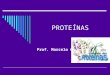 PROTEÍNAS Prof. Marcelo C. Proteínas  Definição – Macromoléculas (monômeros) constituídas por unidades chamadas de aminoácidos