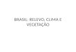 BRASIL: RELEVO, CLIMA E VEGETAÇÃO. Como a Terra leva aproximadamente vinte e quatro horas para completar o ciclo do movimento de rotação
