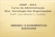 CEAP – 2013 Curso de Administração Disc. Sociologia das Organizações Profº: Luiz Alberto C. Guedes