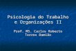 Psicologia do Trabalho e Organizações II Prof. MS. Carlos Roberto Torres Damião