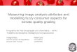 Measuring image analysis attributes and modelling fuzzy consumer aspects for tomato quality grading Programa de Pós-Graduação em Informática – UFRJ Trabalho