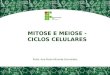 MITOSE E MEIOSE - CICLOS CELULARES Profa. Ana Paula Miranda Guimarães