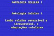 PATOLOGIA CELULAR 1 Patologia Celular 1 Lesão celular reversível e irreversível, e adaptações celulares