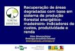 Recuperação de áreas degradadas com base em sistema de produção florestal energético-madeireiro: indicadores de custos, produtividade e renda Ministério