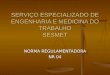 SERVIÇO ESPECIALIZADO DE ENGENHARIA E MEDICINA DO TRABALHO SESMET NORMA REGULAMENTADORA NR 04
