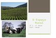 O Espaço Rural UT 5 – 6ª Série Prof.º Renan. AGRICULTURA E PECUÁRIA  Produção de alimentos  Fornecimento de matérias-primas para a indústria