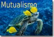 Mutualismo - Agrupamento ou junção entre dois seres vivos de espécies diferentes que mantêm uma relação de cooperação mútua, beneficiando ambas as espécies
