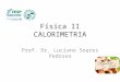 FÍSICA, 2º ANO Calor sensível, capacidade térmica e calor específico Física II CALORIMETRIA Prof. Dr. Luciano Soares Pedroso