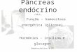 Pâncreas endócrino (2015) Função – homeostase energética (glicose) Hormônios - insulina e glucagon Somatostatina e PP