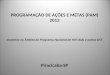 PROGRAMAÇÃO DE AÇÕES E METAS (PAM) 2013 Incentivo no Âmbito do Programa Nacional de HIV/Aids e outras DST Piracicaba-SP