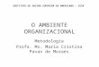 O AMBIENTE ORGANIZACIONAL Metodologia Profa. Ms. Maria Cristina Pavan de Moraes INSTITUTO DE ENSINO SUPERIOR DE AMERICANA - IESA