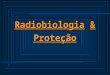 Radiobiologia & Proteção. Normas de proteção  Paciente -Aparelho -Filme -Posicionador -Avental -Profissional  Ambiente  Profissional -Posição -Manutenção