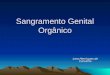 Sangramento Genital Orgânico Lara Henriques de Carvalho