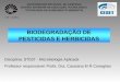 UNIVERSIDADE ESTADUAL DE CAMPINAS CENTRO SUPERIOR DE EDUCAÇÃO TECNOLÓGICA TECNOLOGIA EM SANEAMENTO AMBIENTAL Disciplina: ST037 - Microbiologia Aplicada