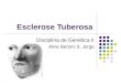 Esclerose Tuberosa Disciplina de Genética II Aline Bertoni S. Jorge