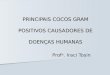 PRINCIPAIS COCOS GRAM POSITIVOS CAUSADORES DE DOENÇAS HUMANAS Prof a. Iraci Tosin